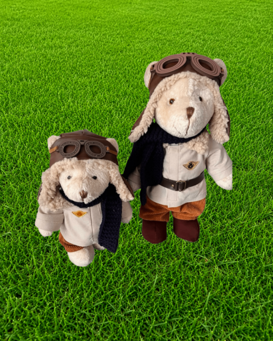 Dupla Cães Aviadores